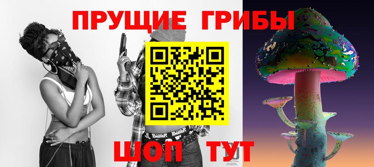 Рославль  Псилоцибиновые грибы Psilocybe  Псилоцибиновые грибы прущие грибы  хочу наркоту  Вход с VPN 